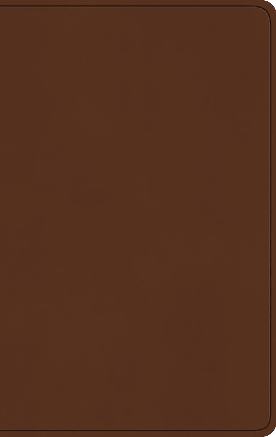 ESV LP Value Thinline Bible (TT, Carmel)