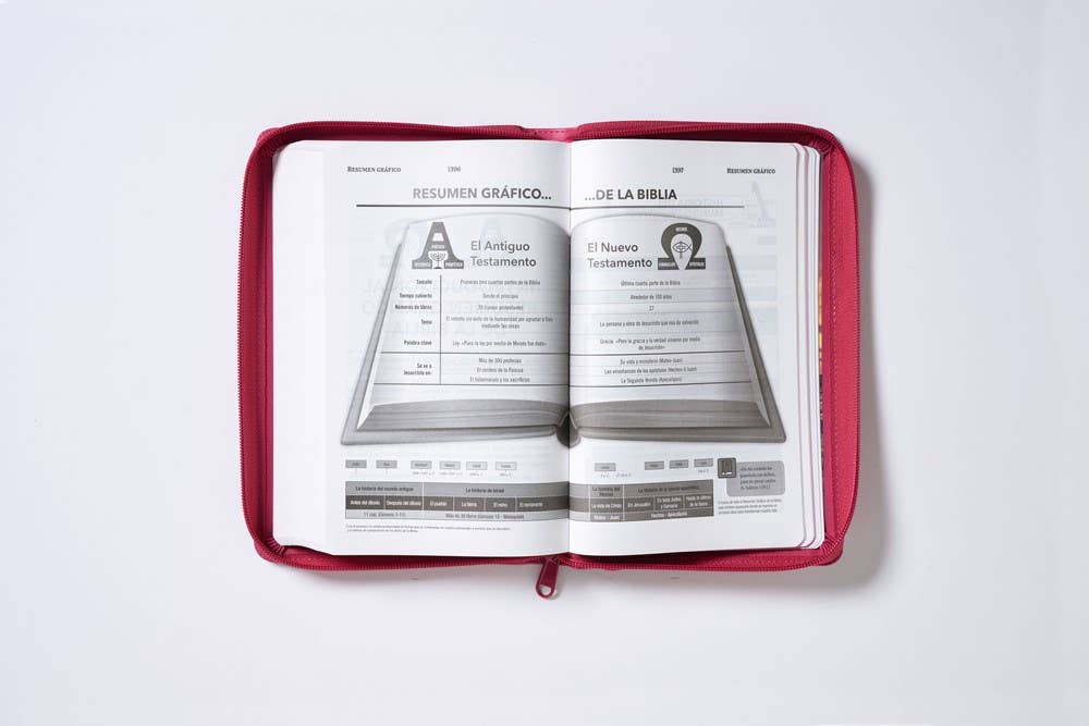 RVR60, Santa Biblia, Tierra Santa, Ultrafina, Letra grande