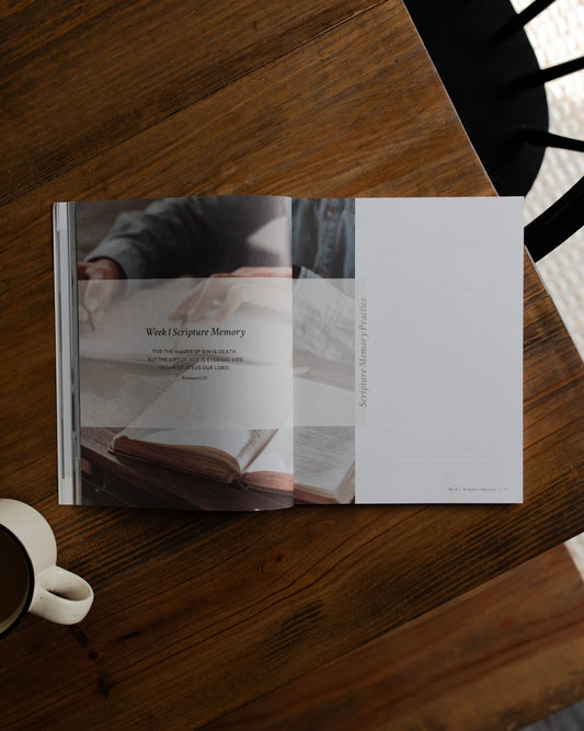 Faith Foundations | A Study On the Basics of Christianity - Men