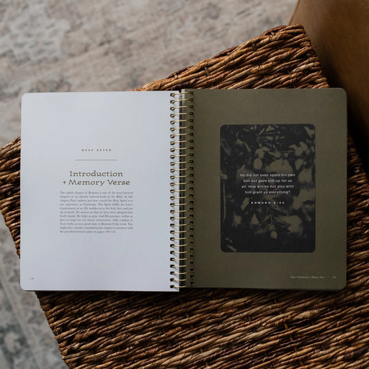 In Christ Alone: A Study On the Book of Romans - Men's