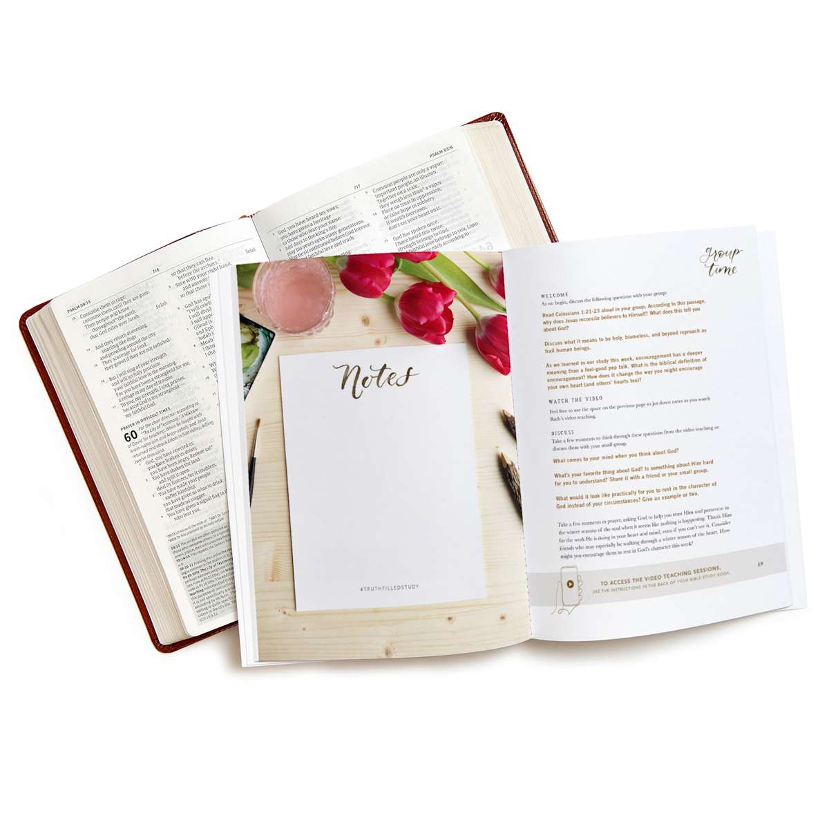 TruthFilled - Bible Study Book with Video Access