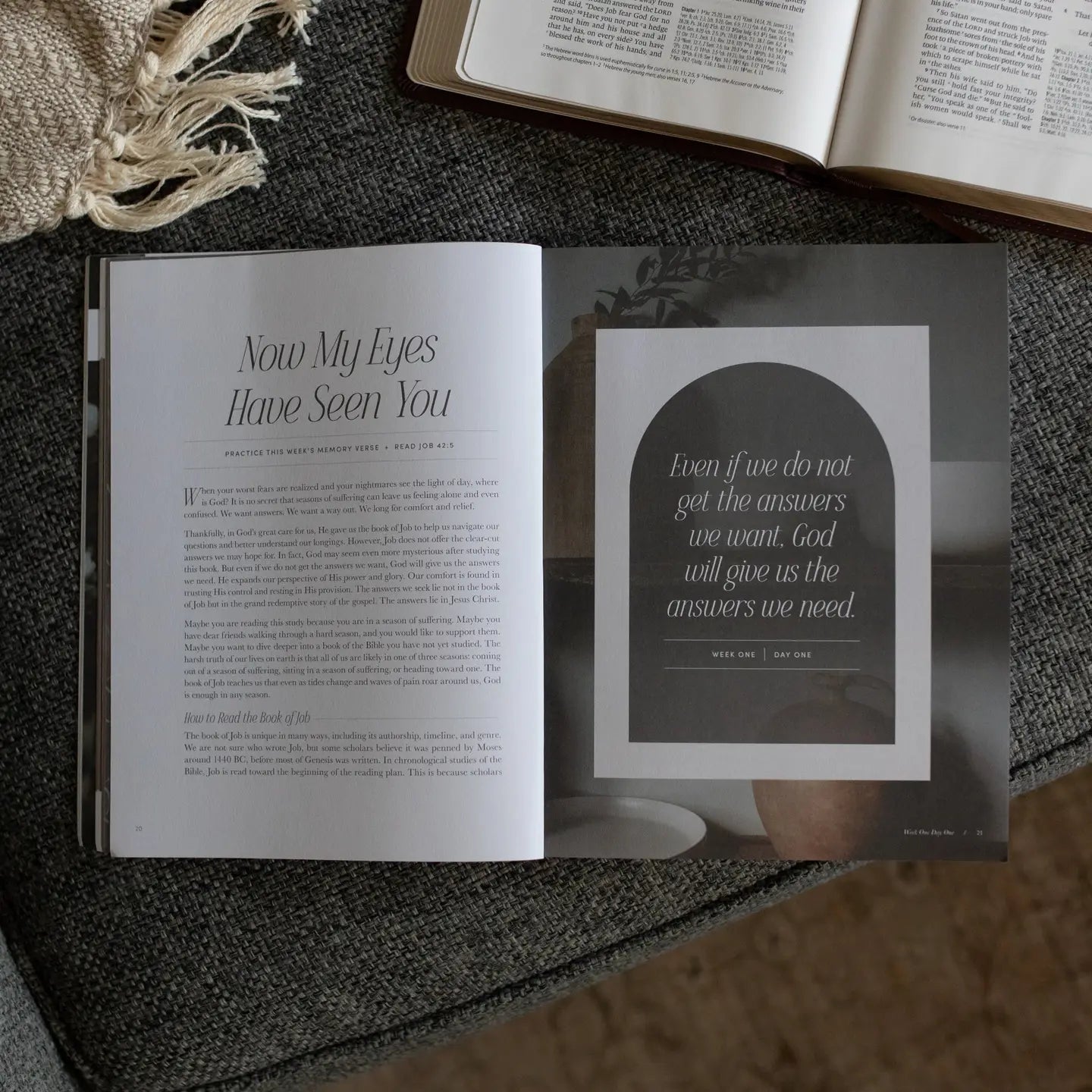 Job | Holding To Hope When Life Falls Apart