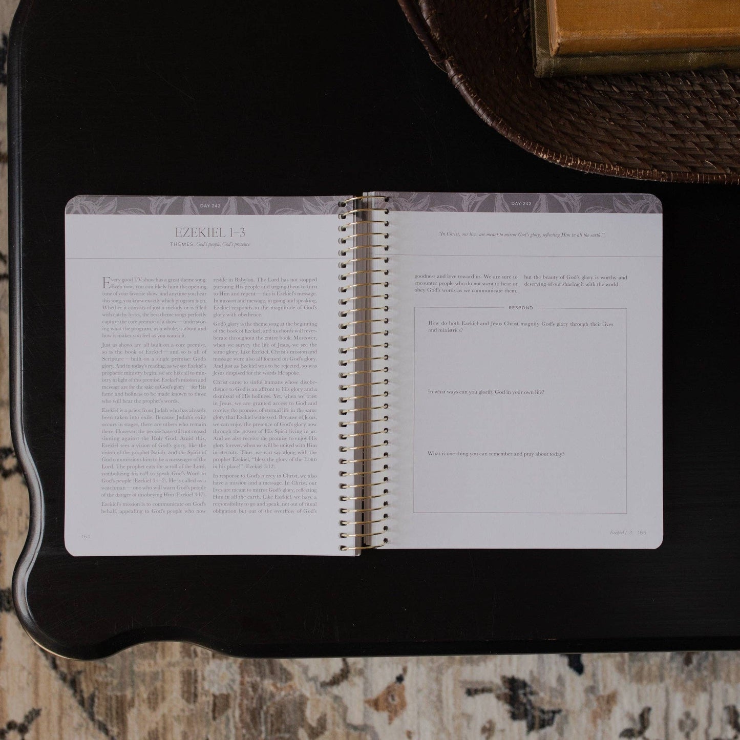 A Year in the Bible | Volume 3 Bible Study