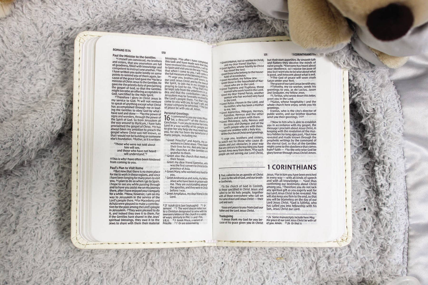 NIV Tiny Testament Bible, New Testament Leathersoft Pink