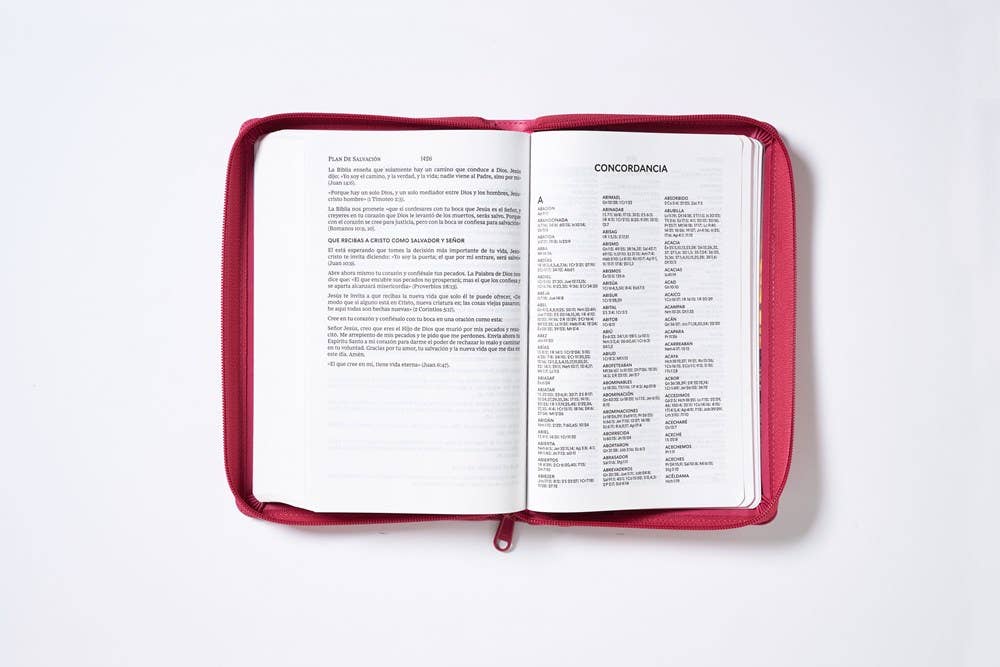 RVR60, Santa Biblia, Tierra Santa, Ultrafina, Letra grande