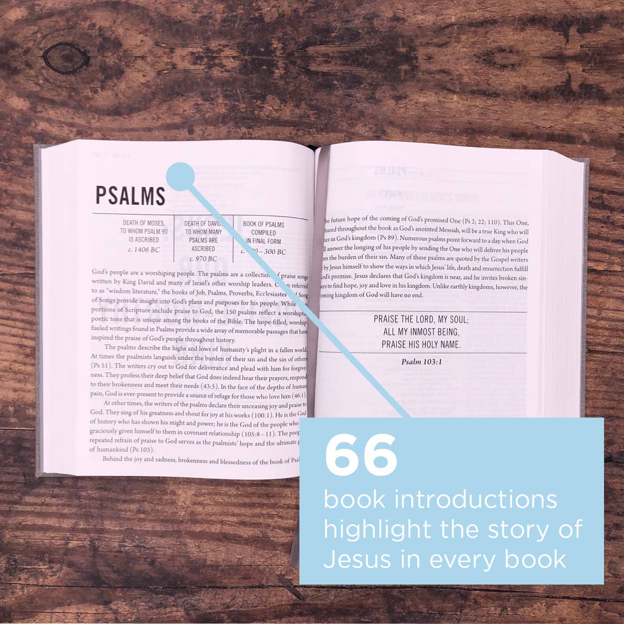 The Jesus Bible, NIV Edition