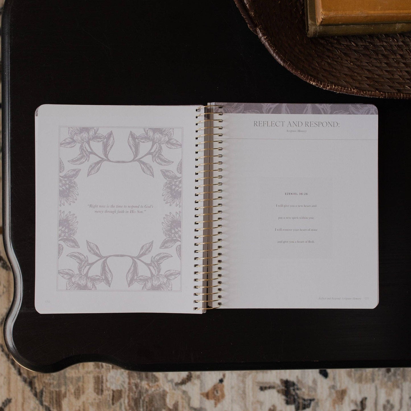 A Year in the Bible | Volume 3 Bible Study