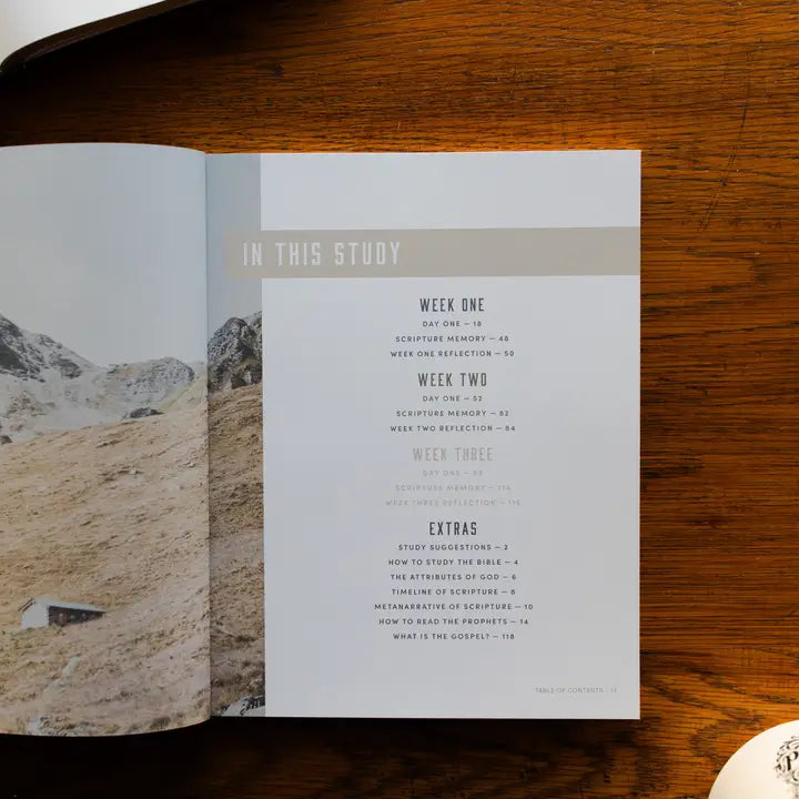 Restored | A Study On the Book of Joel - Men