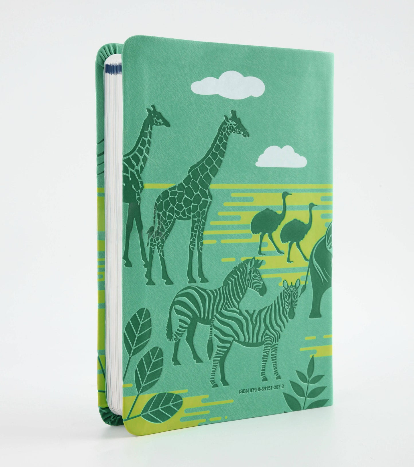 The KJV Kids' Devotional Bible
