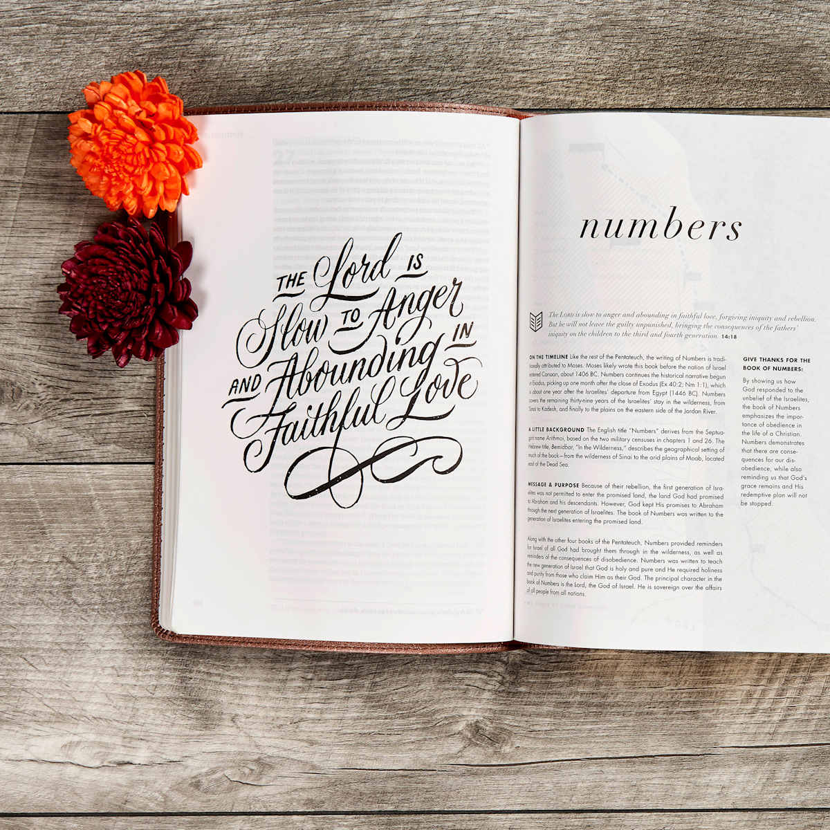 CSB She Reads Truth Bible, Rose Gold LeatherTouch