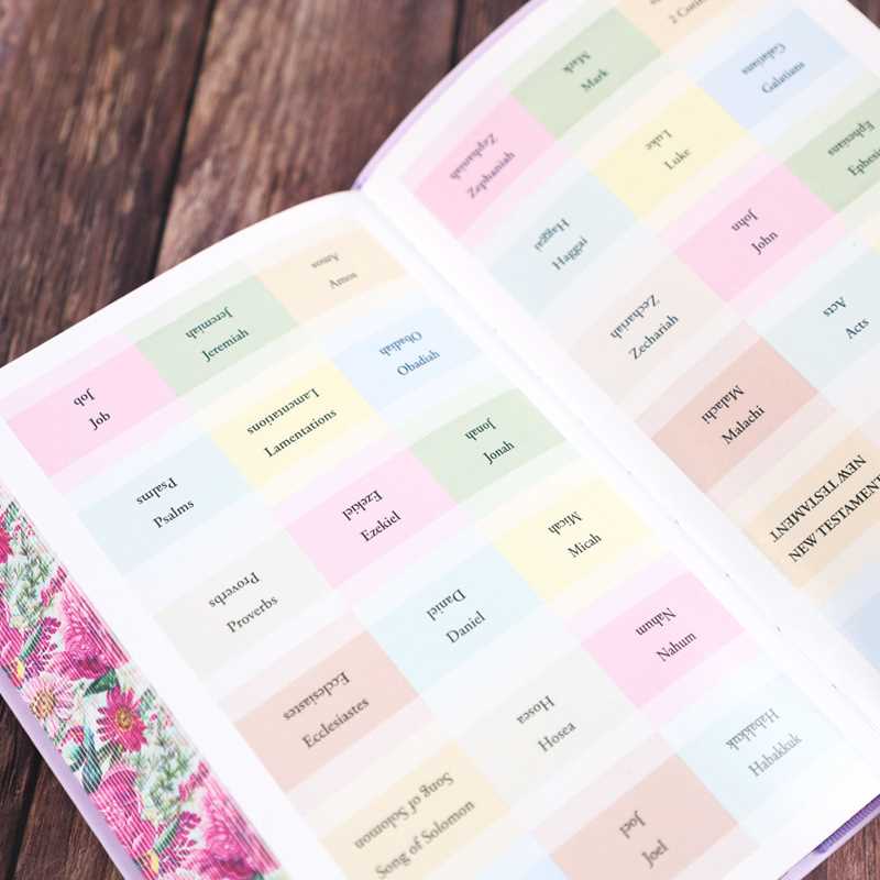 Holy Bible (with Tabs) by