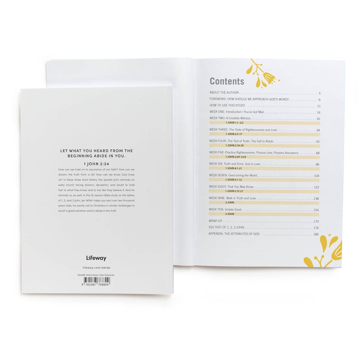 Abide - Bible Study Book with Video Access
