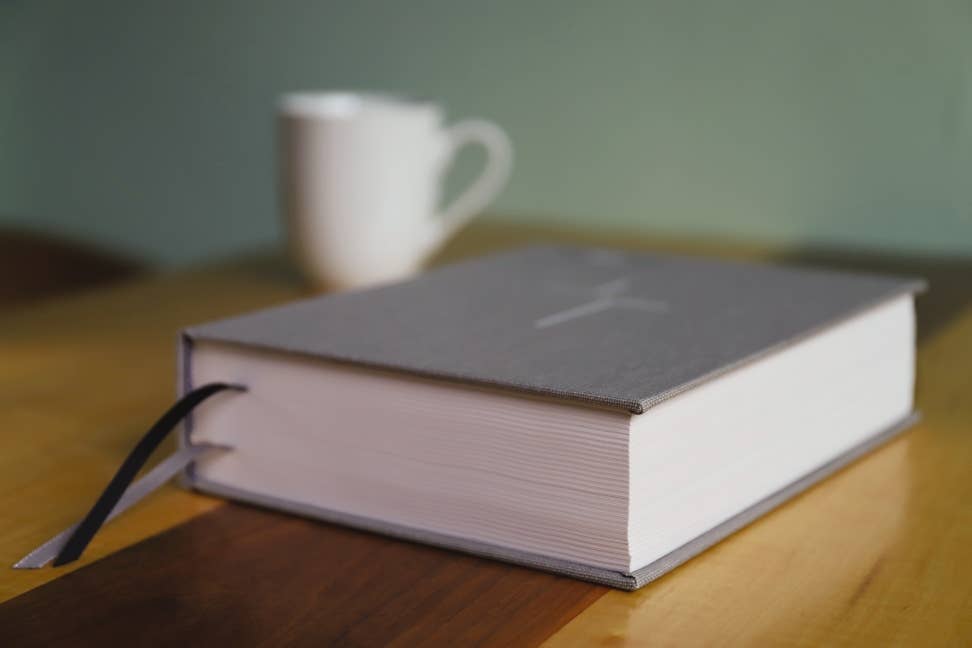 The Jesus Bible, NIV Edition
