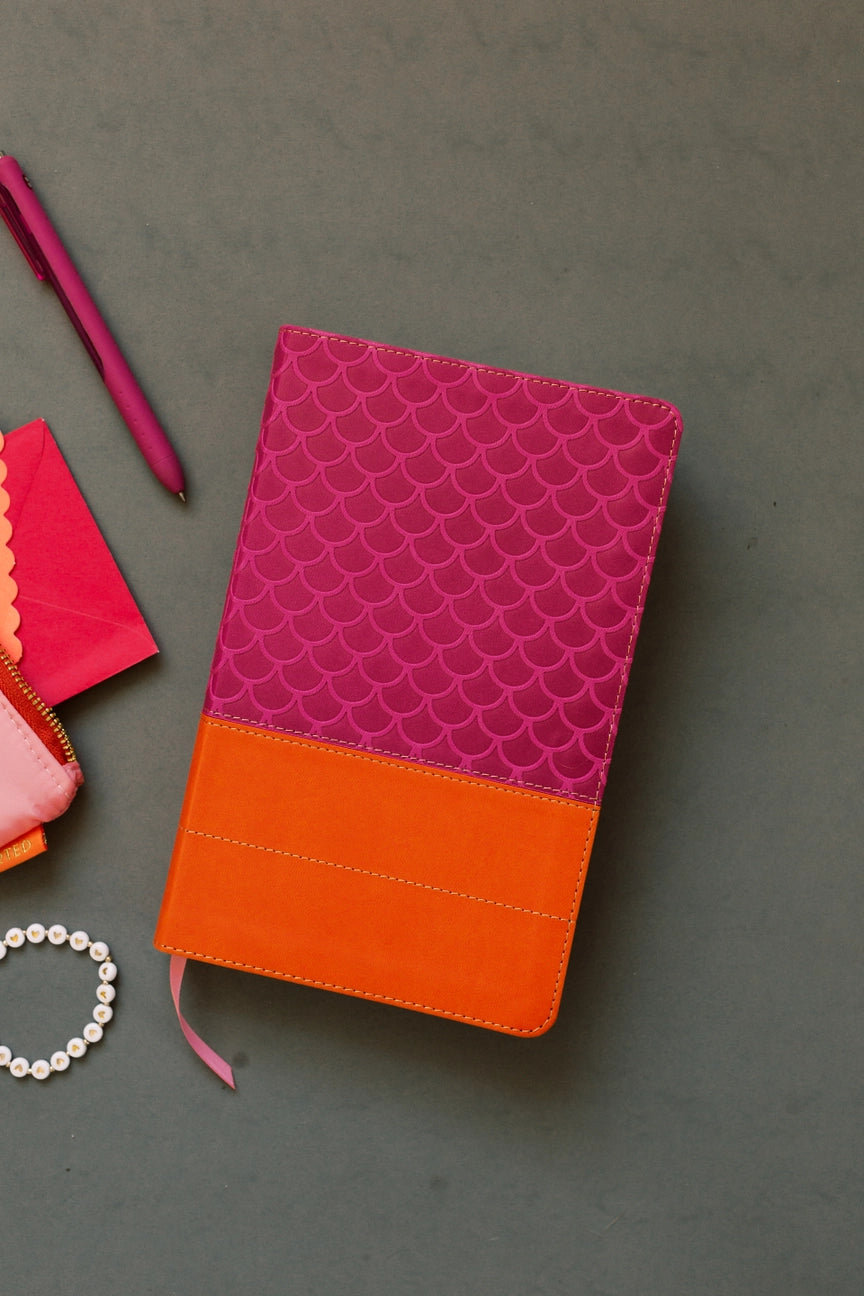 Know Your Bible NlV Bible For Kids [Girl Cover]