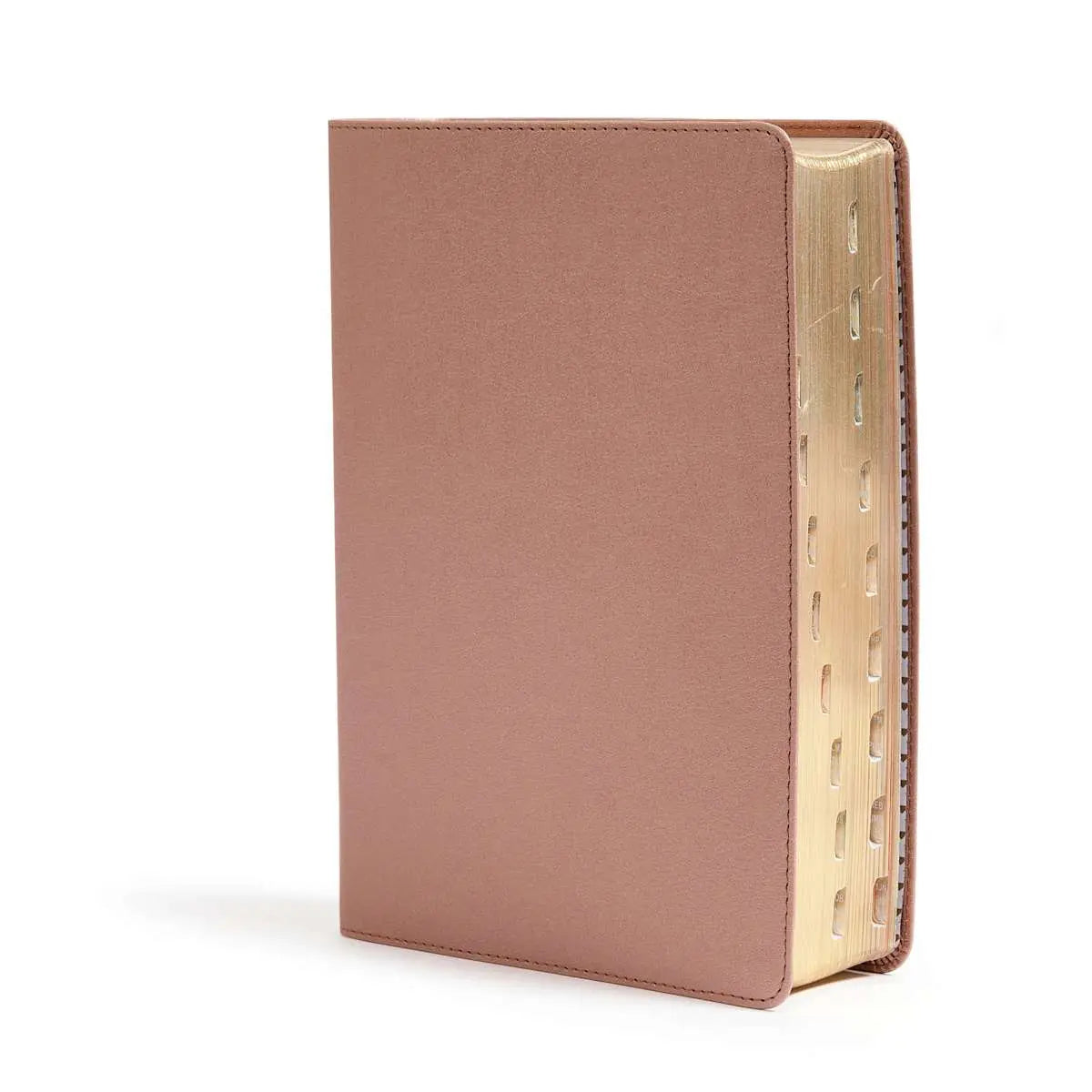 Csb She Reads Truth Bible, Rose Gold Leathertouch, Indexed