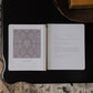 A Year in the Bible | Volume 3 Bible Study