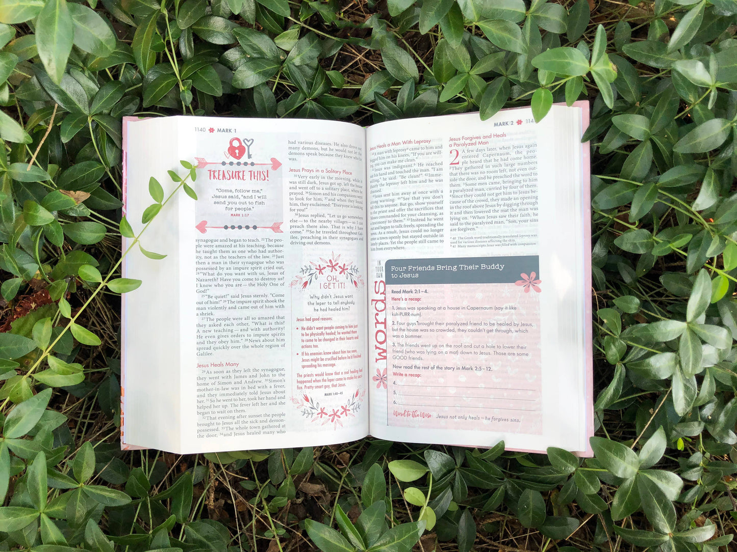 NIV Ultimate Bible for Girls, Faithgirlz Edition