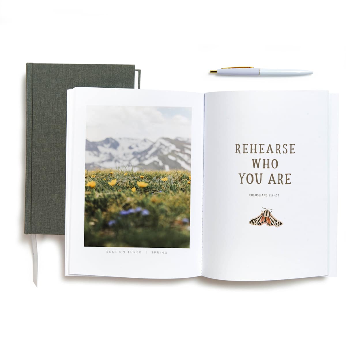 TruthFilled - Bible Study Book with Video Access