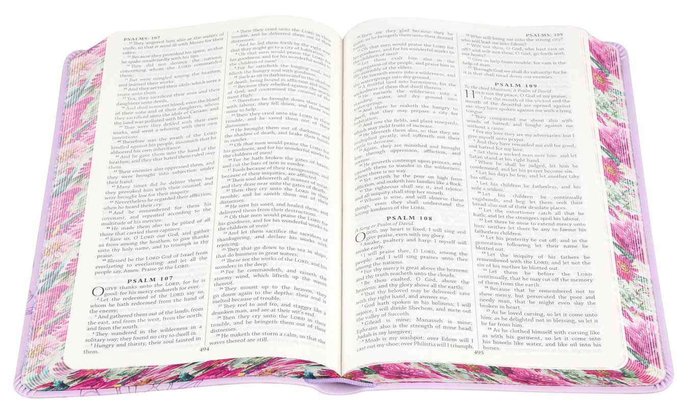Holy Bible (with Tabs) by