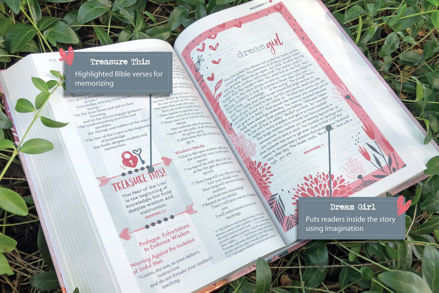 NIV Ultimate Bible for Girls, Faithgirlz Edition