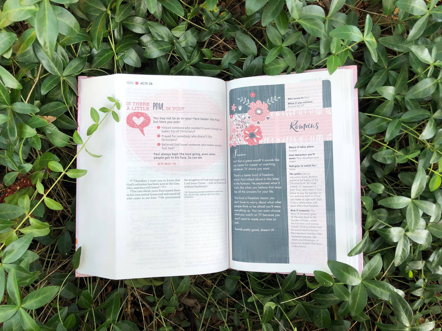 NIV Ultimate Bible for Girls, Faithgirlz Edition