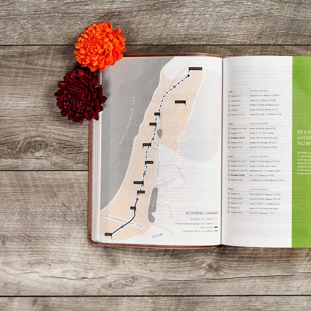 Csb She Reads Truth Bible, Rose Gold Leathertouch, Indexed