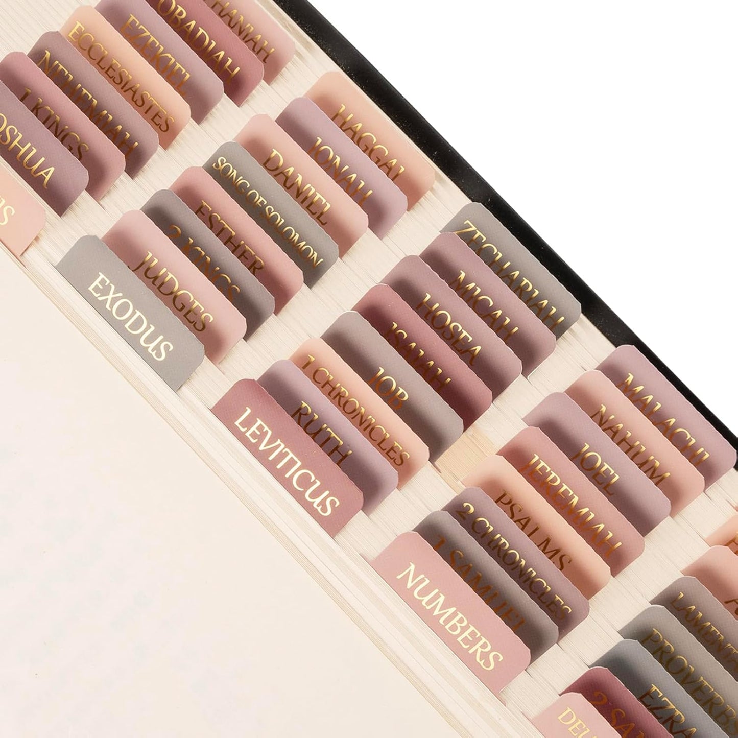 Lumintutu Laminated Bible Tabs, Gold Foil Large Print Lettering, 90 Tabs Bible Study Journaling Supplies, Christian Gift for Women and Men, She Reads Truth Bible (Dusty Rose)
