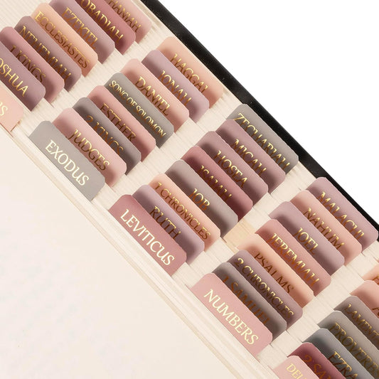 Lumintutu Laminated Bible Tabs, Gold Foil Large Print Lettering, 90 Tabs Bible Study Journaling Supplies, Christian Gift for Women and Men, She Reads Truth Bible (Dusty Rose)