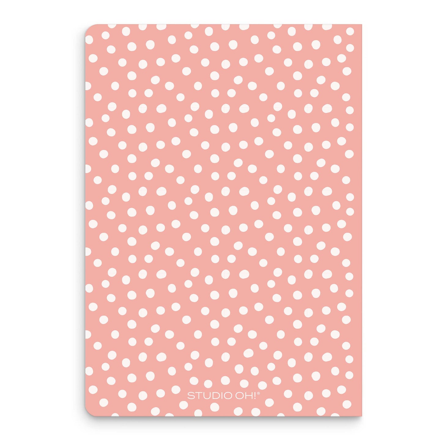 Sage & Blush Keri Notebook Organizer