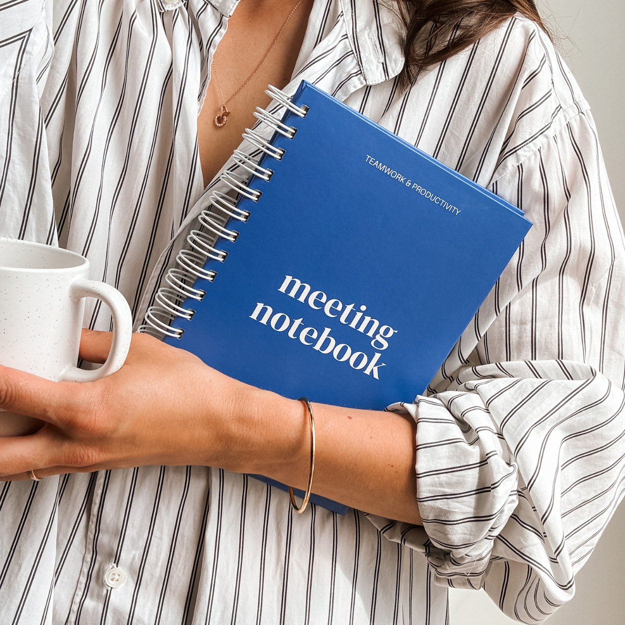 Lamare Meeting Notebook – Project Planner & Work Organizer