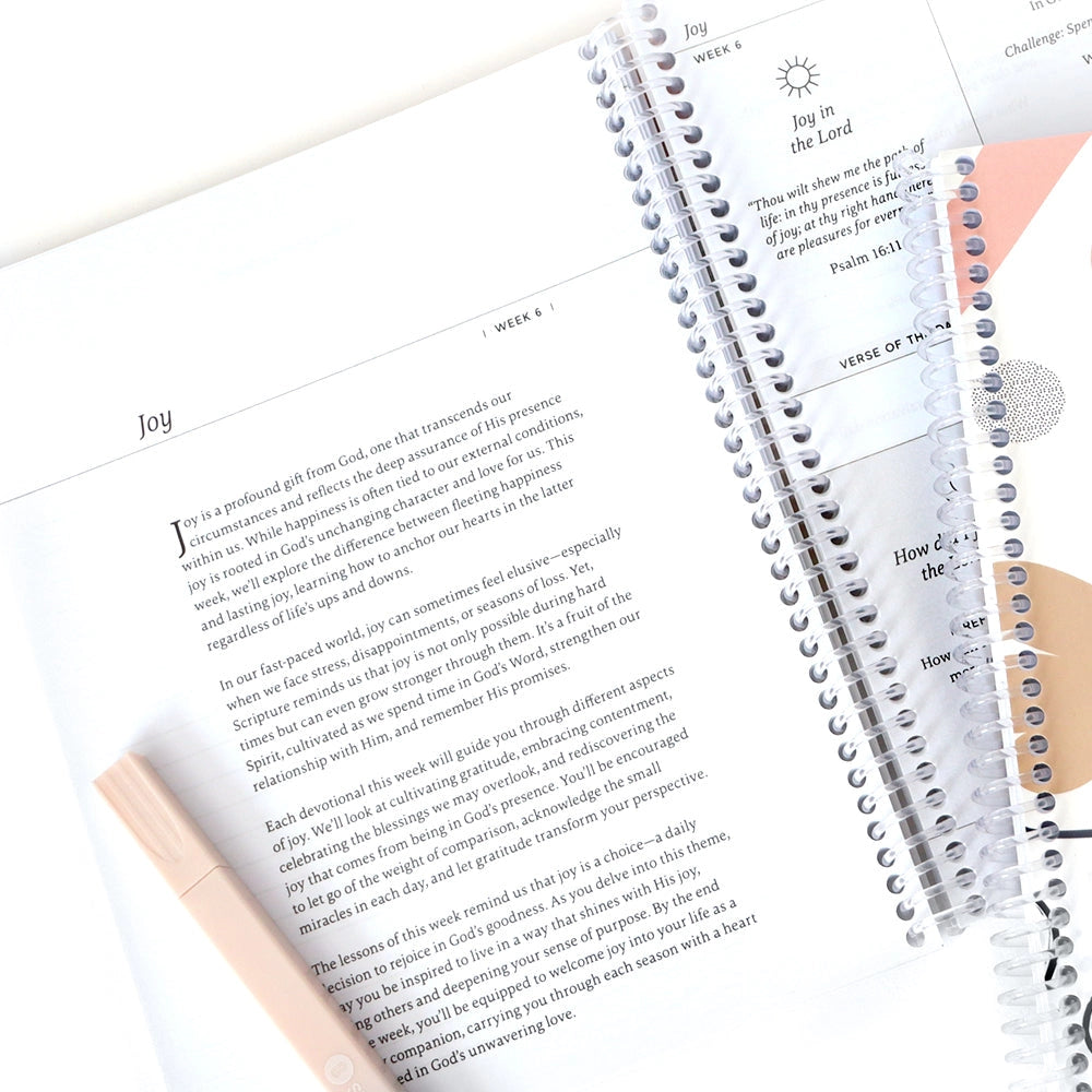 Anchored in His Word: A 90 Day Devotional