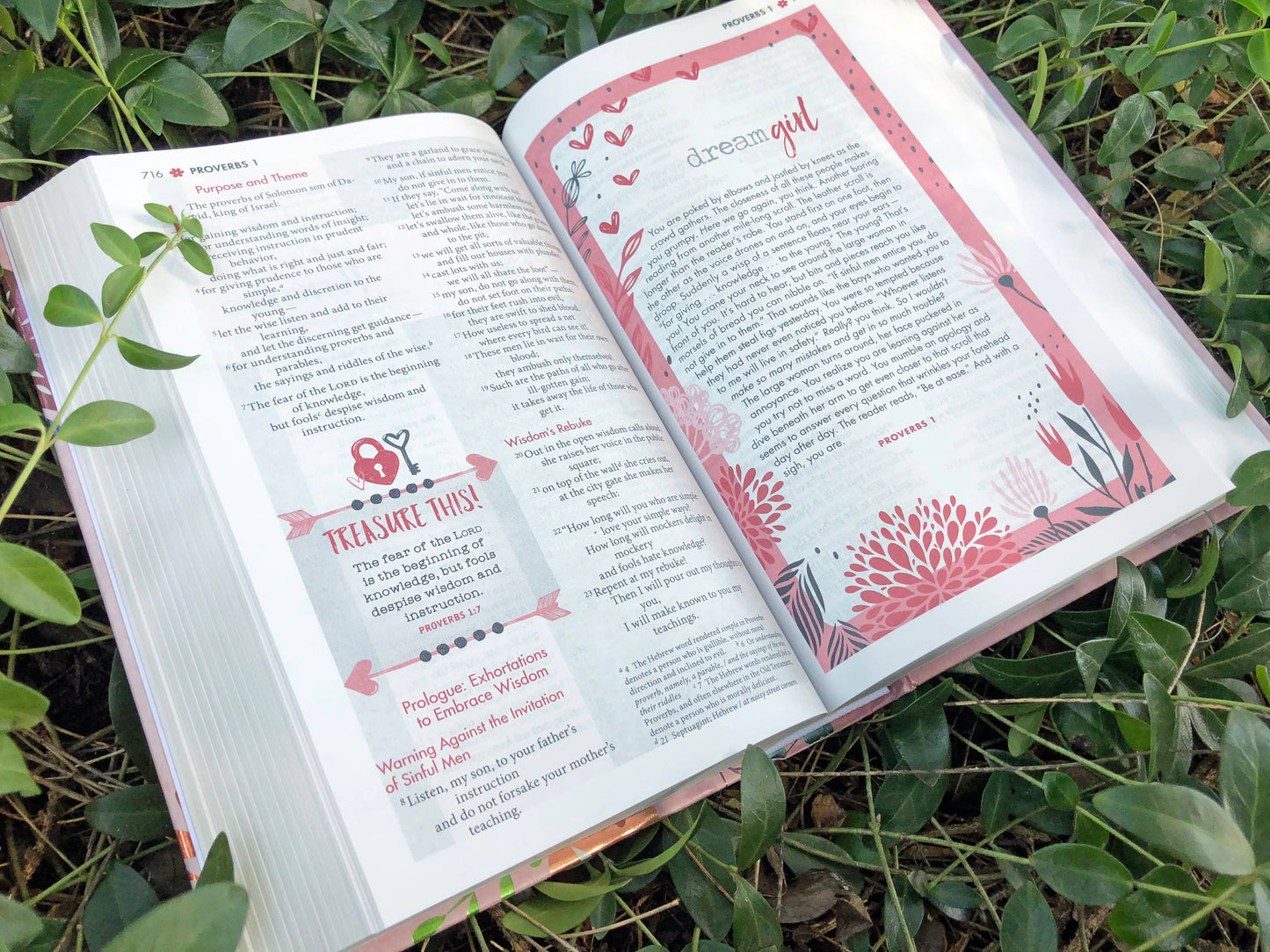 NIV Ultimate Bible for Girls, Faithgirlz Edition