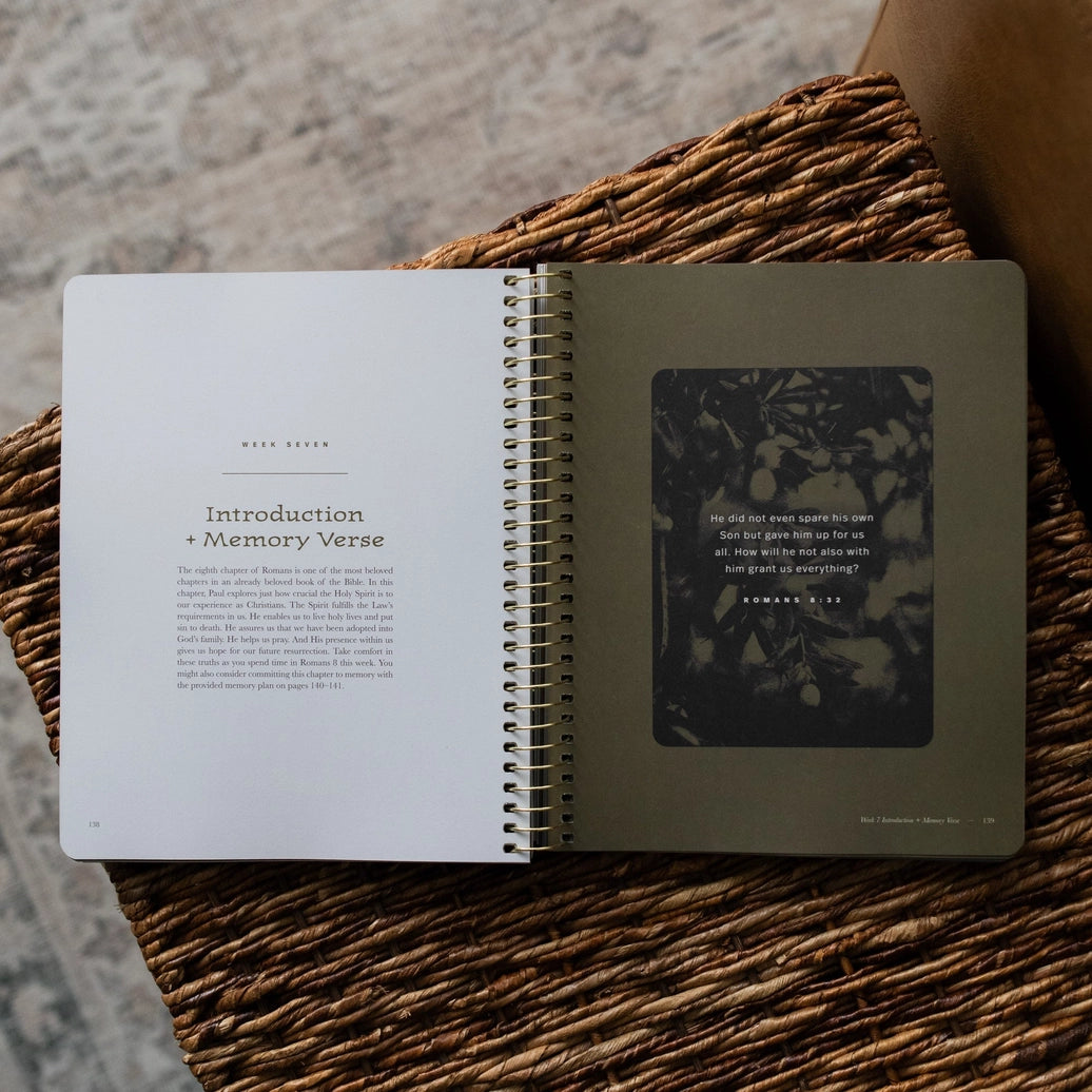 In Christ Alone: A Study On the Book of Romans - Men's