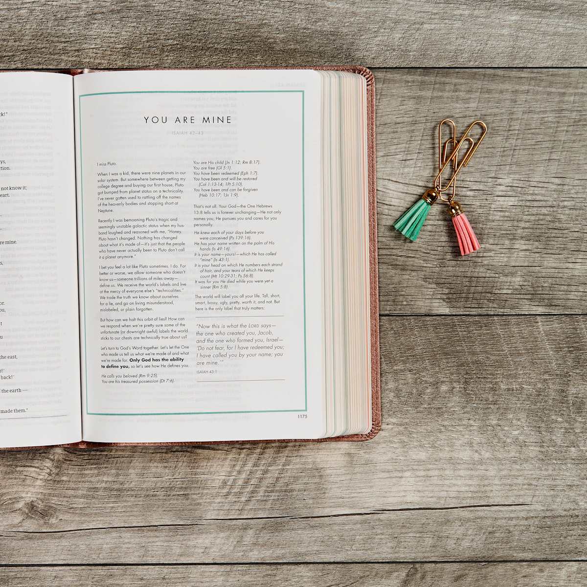 CSB She Reads Truth Bible, Rose Gold LeatherTouch