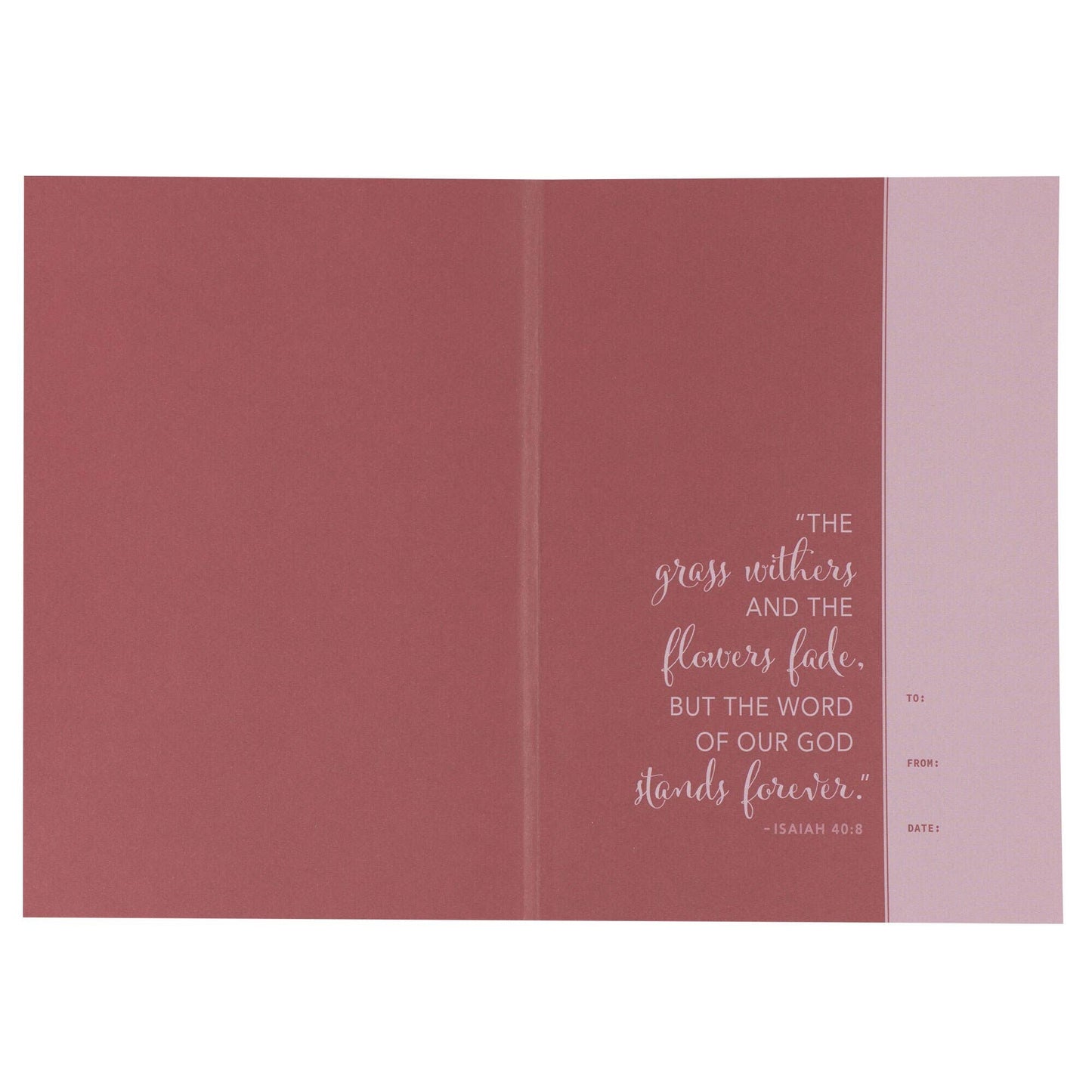 Devotional Bible NLT for Women Softcover, Floral
