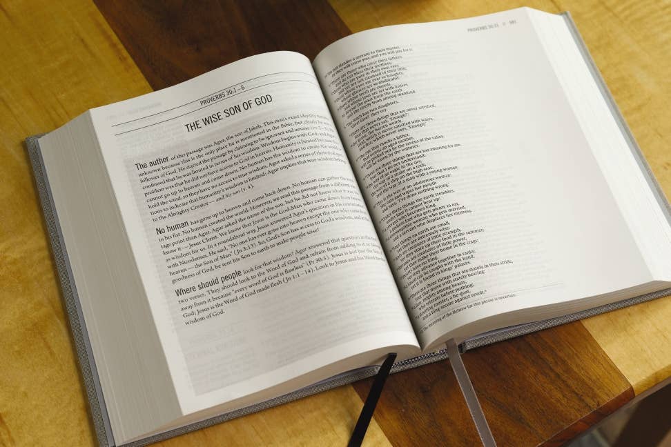 The Jesus Bible, NIV Edition