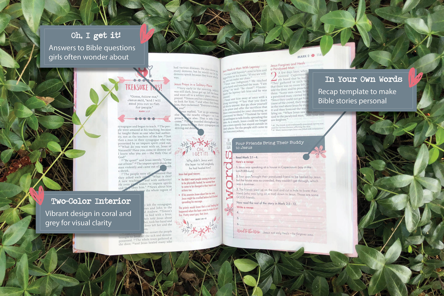NIV Ultimate Bible for Girls, Faithgirlz Edition