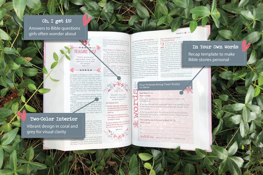 NIV Ultimate Bible for Girls, Faithgirlz Edition