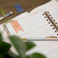 Bible Journal for Verse by Verse Bible Study