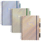 Pukka Pad B5 Haze 5-Subject Divider Notebook - 200 Pages