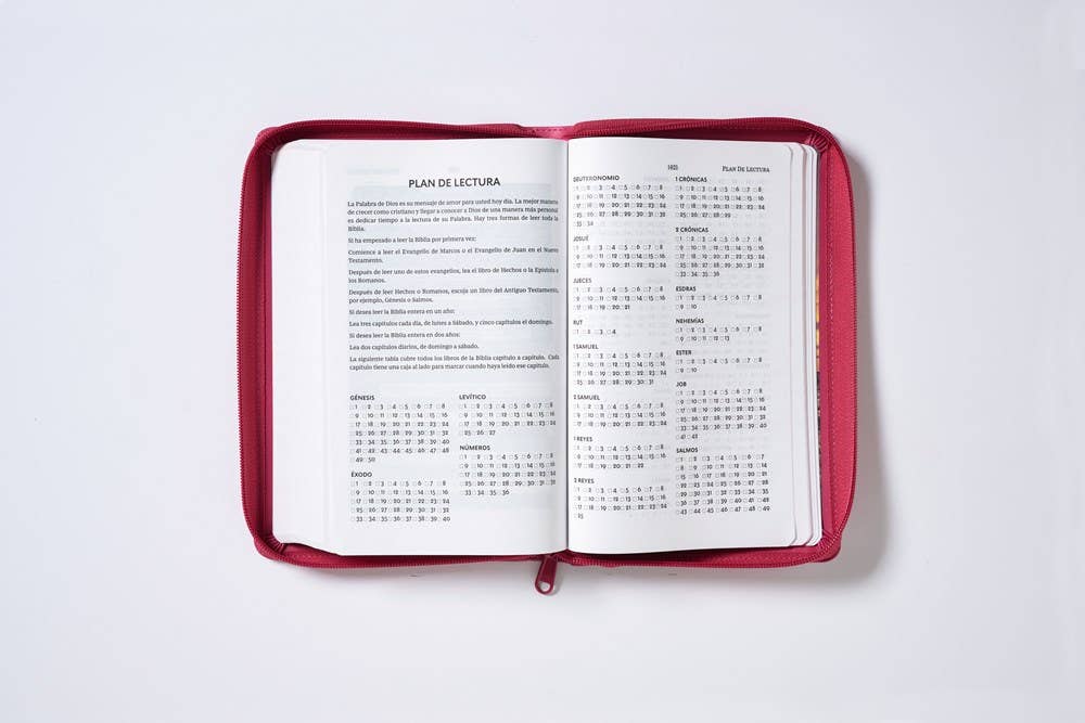RVR60, Santa Biblia, Tierra Santa, Ultrafina, Letra grande