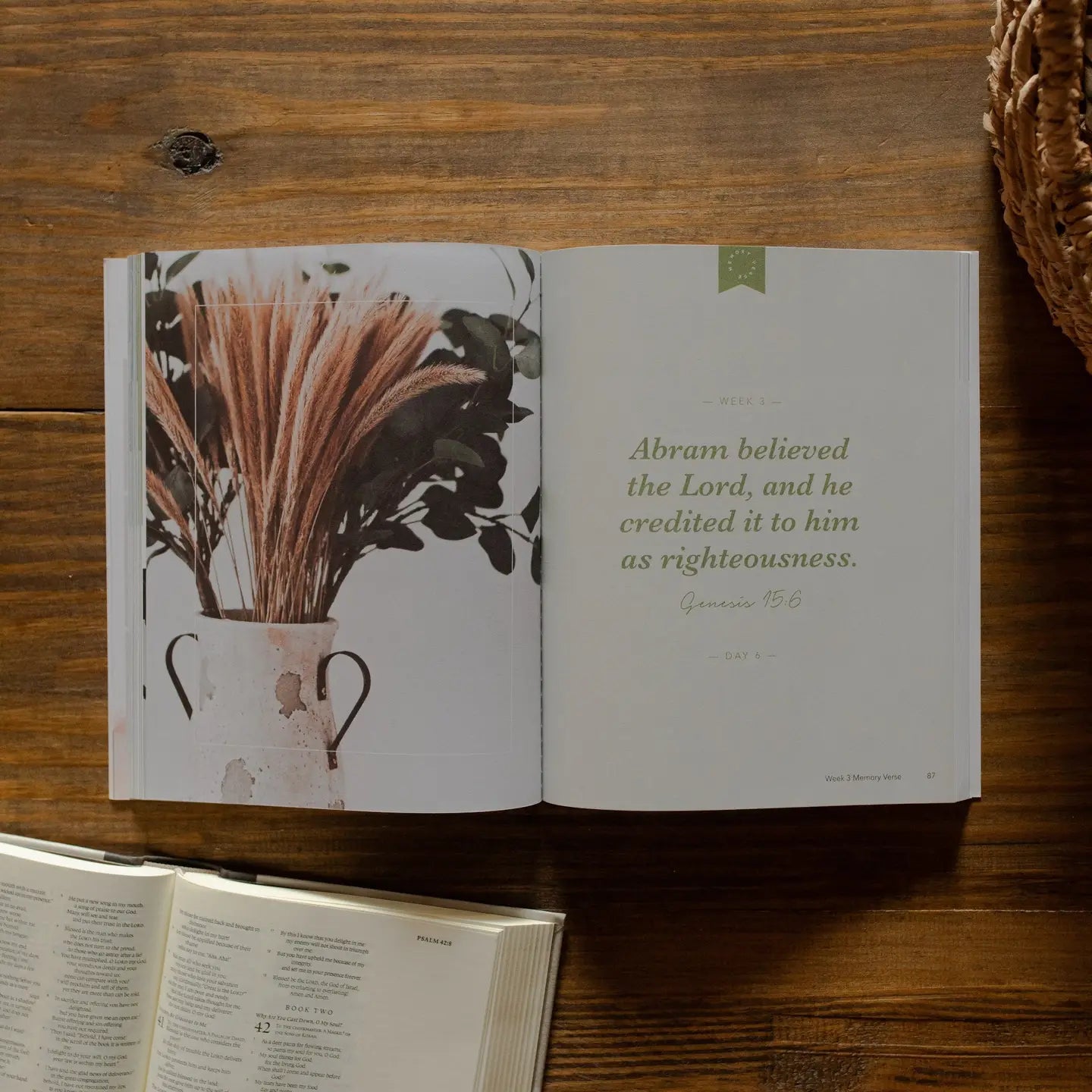 Faithful | Eden To Eternity Bible Study