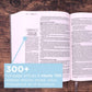 The Jesus Bible, NIV Edition