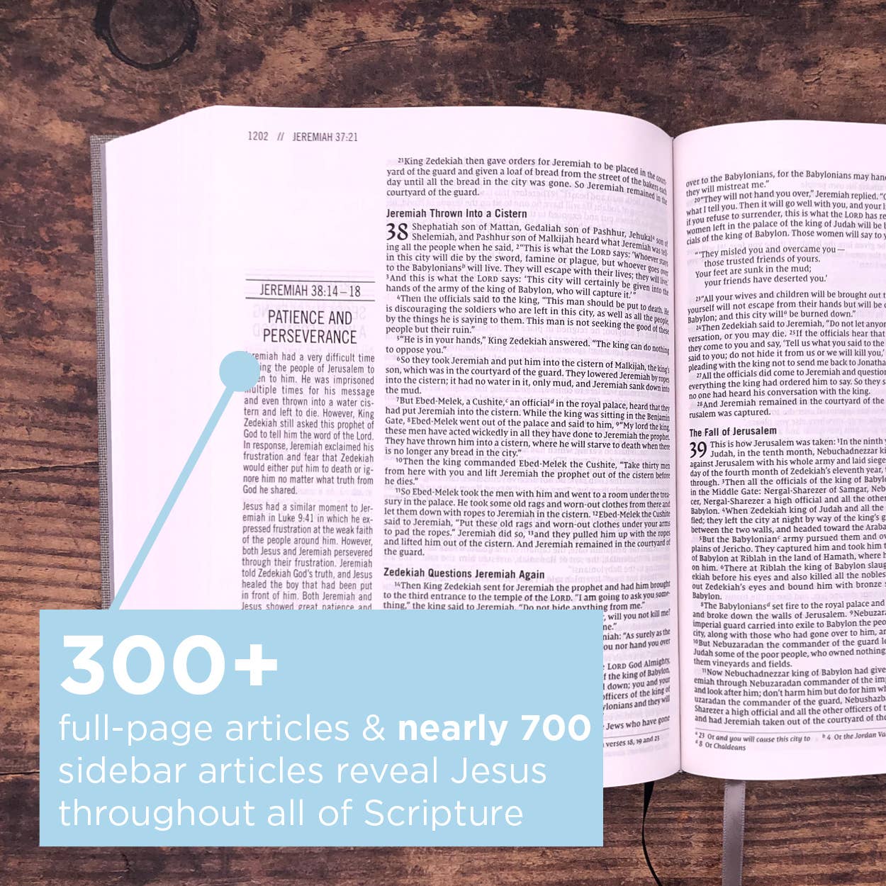 The Jesus Bible, NIV Edition