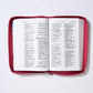 RVR60, Santa Biblia, Tierra Santa, Ultrafina, Letra grande