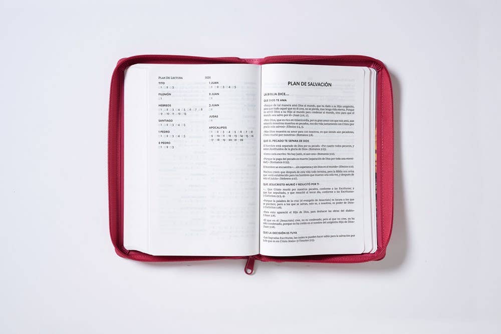 RVR60, Santa Biblia, Tierra Santa, Ultrafina, Letra grande