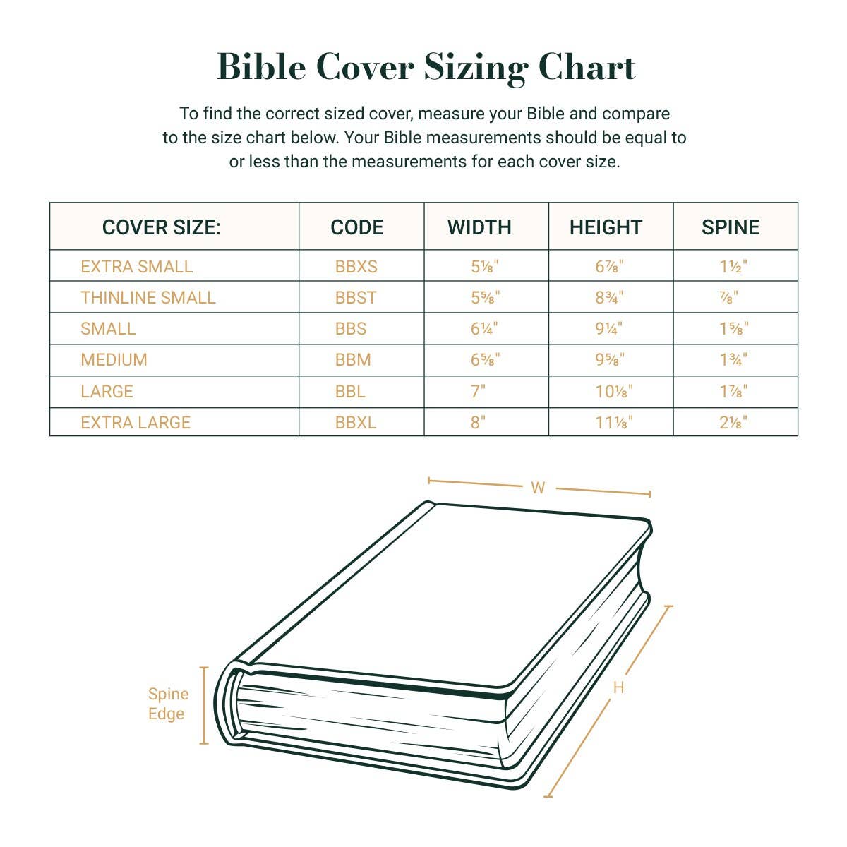 Bible Cover Value Teal Ichthus Patch