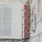 Blush Bible Tabs