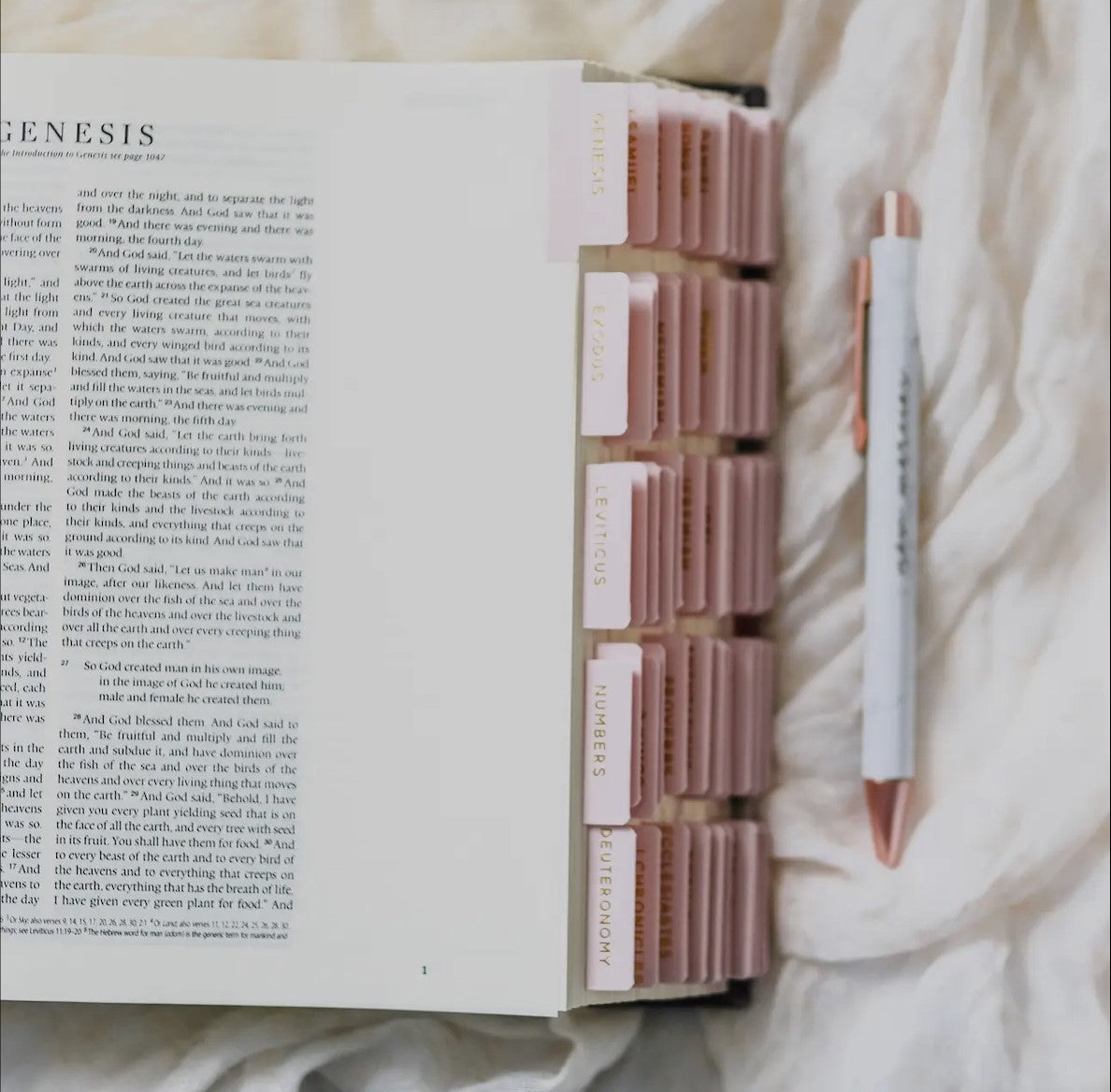Blush Bible Tabs