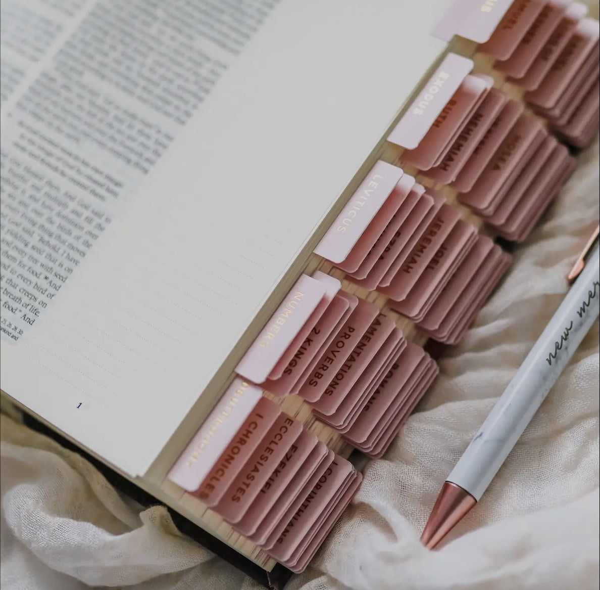 Blush Bible Tabs